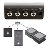 Strymon Flint Tremolo and Reverb