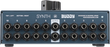 SYNTH BUDDY